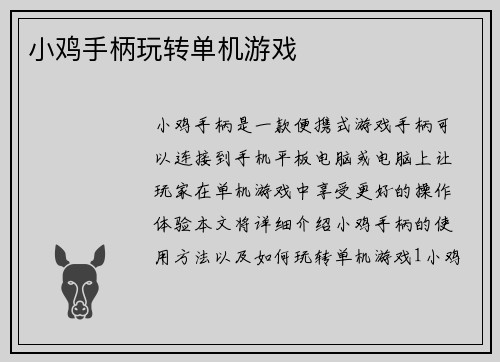 小鸡手柄玩转单机游戏